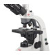 Microscope, Ba210E Trinocular, Eye Pieces N-Wf 10X20Mm, Plan Achromat Objectives, 4X, 10X, 40X S, 100X S-Oil, Halogen Illumination 6A/30W